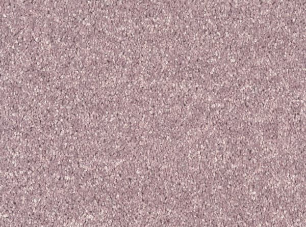 Фото - ковролина tarkett diva 77081